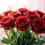 Rose Day Wishes